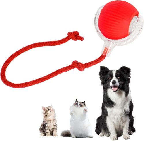 Pelota interactiva para gatos